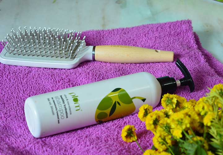 Best Anti Hair Fall Shampoos in India Plum Olive and Macademia Shampoo