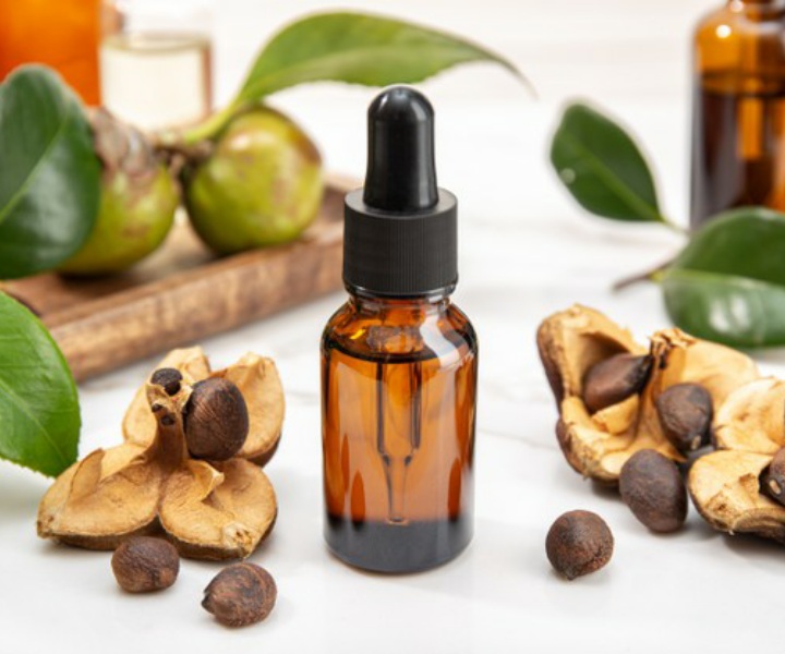 Benefits of Camellia Oil for Hair