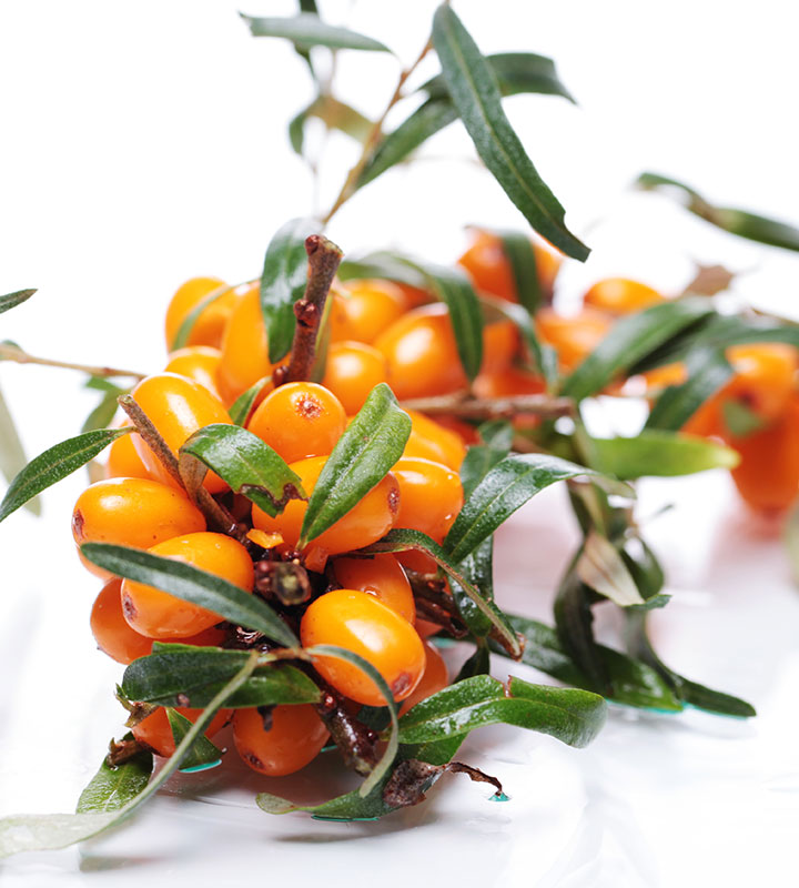 Know Why and How Sea Buckthorn Oil can Help Your Skin