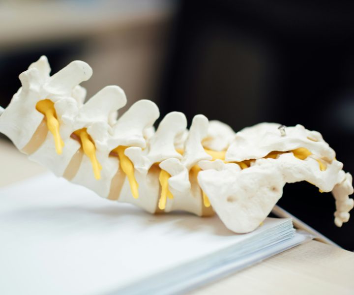 How Posture Shapes Appearance